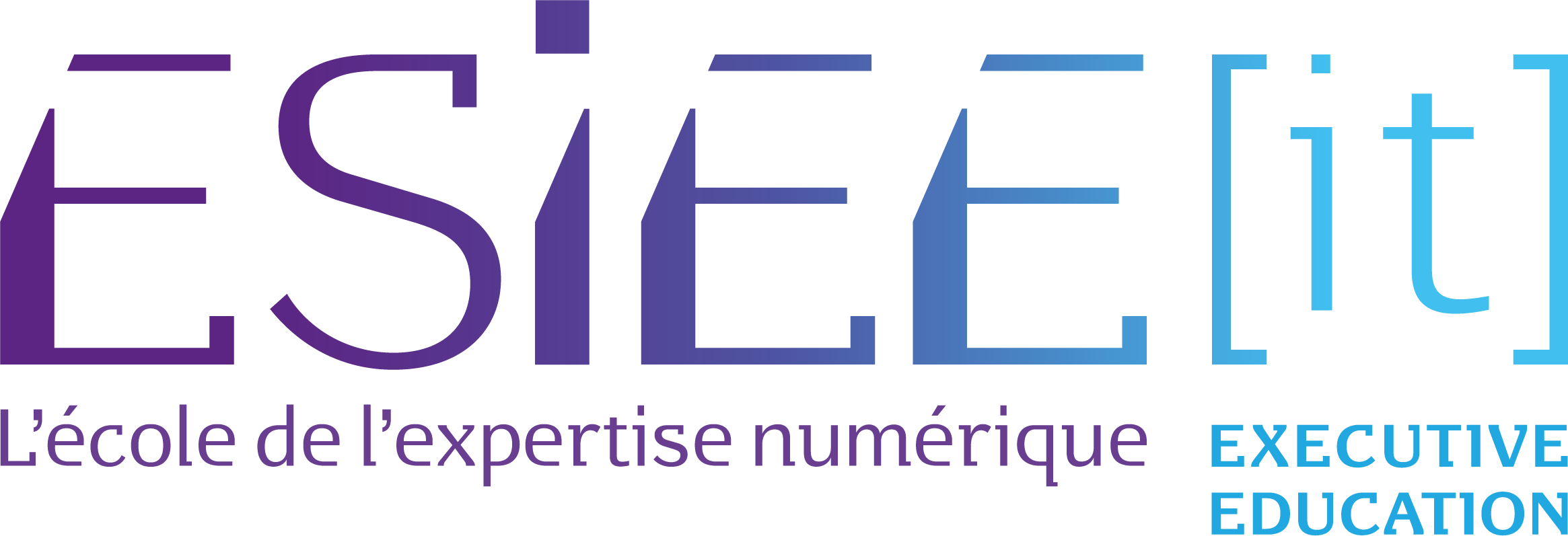 Logo ESIEE IT Executive Education
